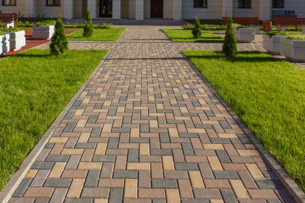 Best Custom Driveway Pavers  in Nappanee, IN